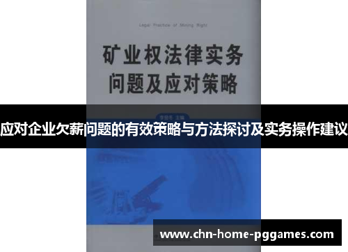 应对企业欠薪问题的有效策略与方法探讨及实务操作建议 应对企业欠薪问题的有效策略与方法探讨及实务操作建议