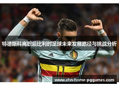 特德斯科离职后比利时足球未来发展路径与挑战分析