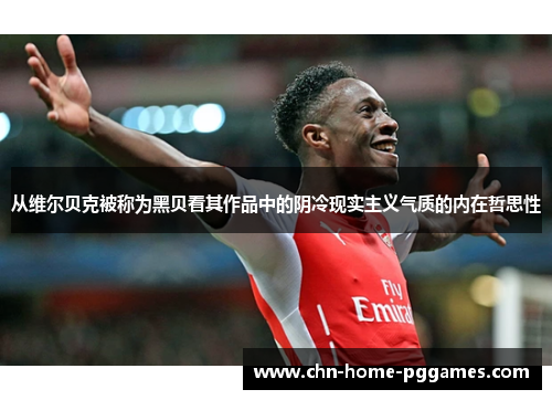 从维尔贝克被称为黑贝看其作品中的阴冷现实主义气质的内在哲思性