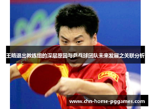 王皓退出教练组的深层原因与乒乓球团队未来发展之关联分析