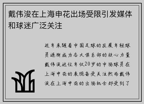 戴伟浚在上海申花出场受限引发媒体和球迷广泛关注 戴伟浚在上海申花出场受限引发媒体和球迷广泛关注